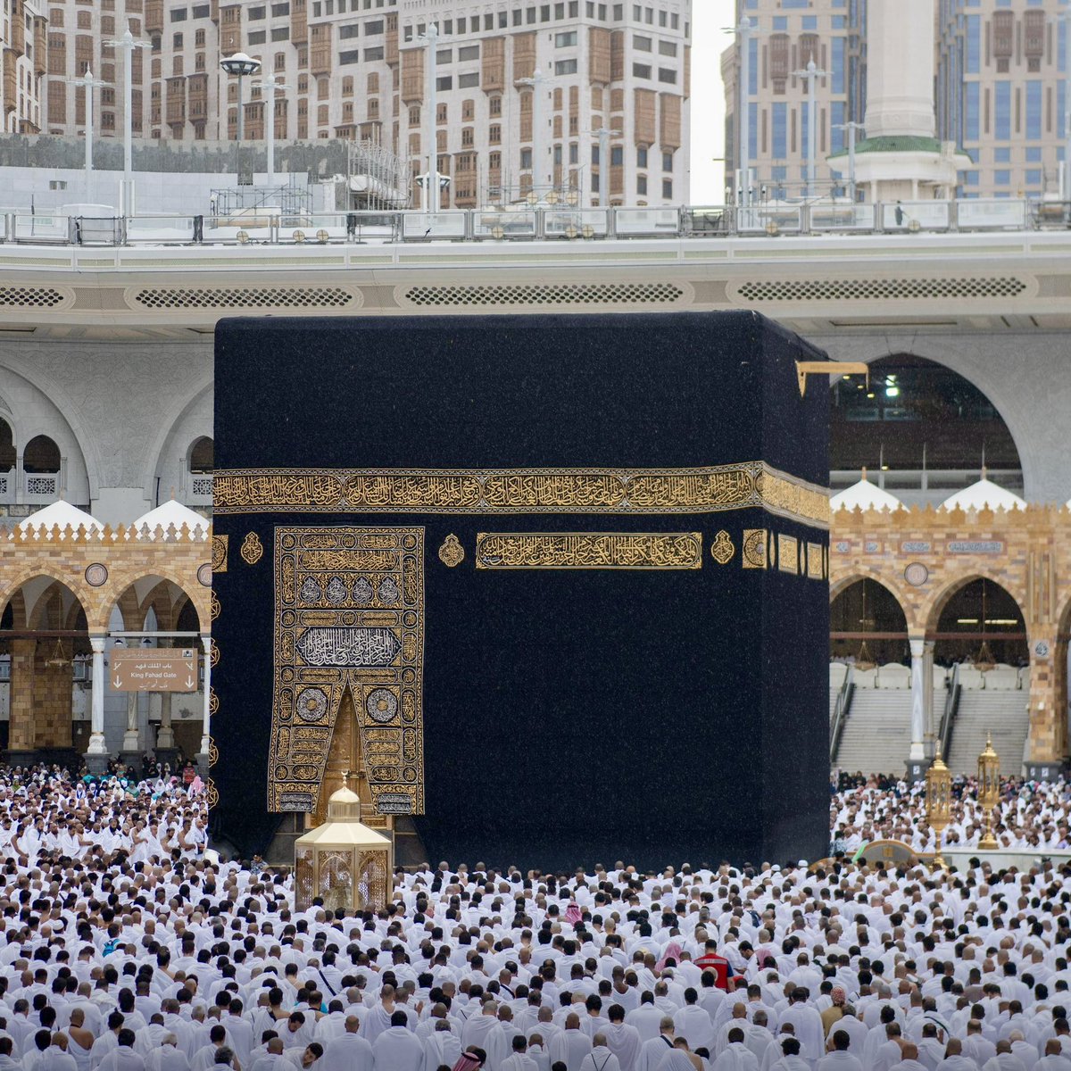 Genç işi ucuza bireysel umre rehberi (Flood)