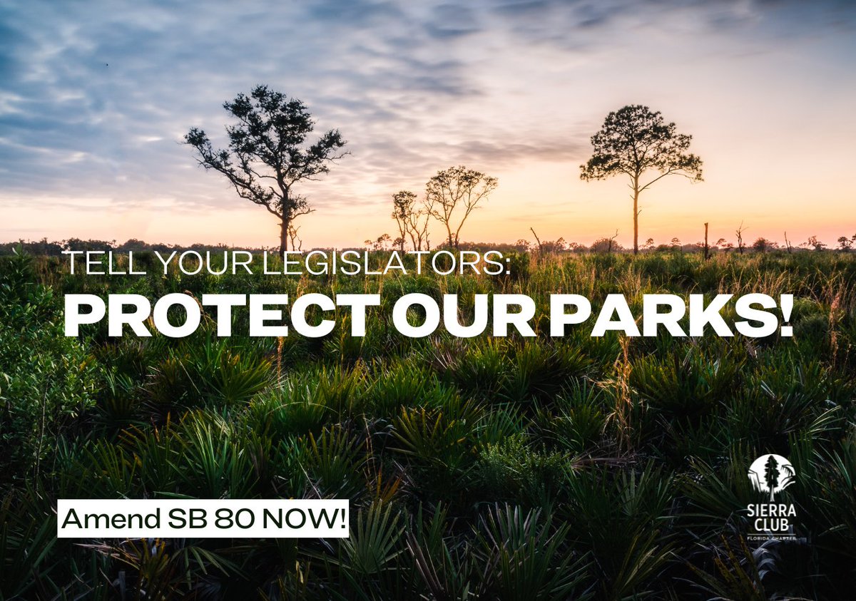 Sierra Club Florida tweet media