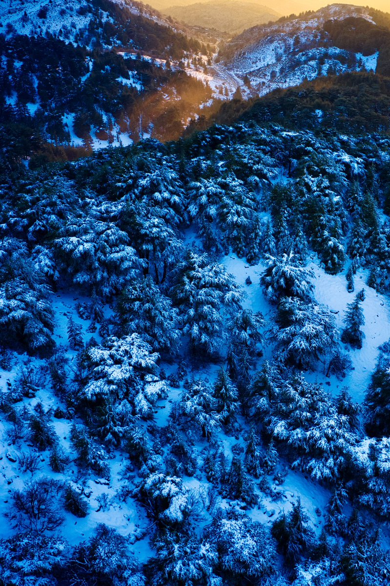 kamilAlRayess's tweet photo. Winter’s embrace meets the fire of sunset, creating a scene of pure magic. ❄️✨

#NaturePhotography #LandscapeLovers #SunsetMagic #MountainVibes #WinterWonderland #GoldenHourGlow #ExploreTheWorld #Wanderlust #PhotographyLovers #scenicviews @djiglobal 
#masterpiece https://t.co/TWZywTV1so