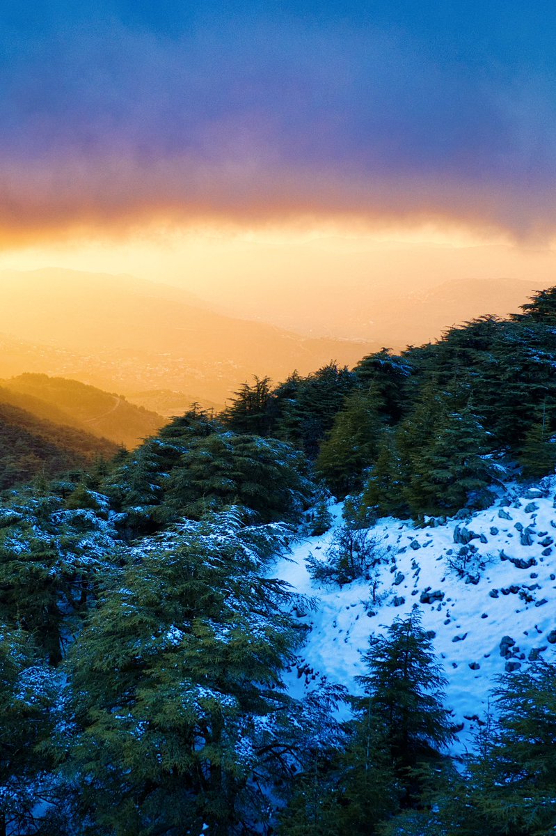 kamilAlRayess's tweet photo. Winter’s embrace meets the fire of sunset, creating a scene of pure magic. ❄️✨

#NaturePhotography #LandscapeLovers #SunsetMagic #MountainVibes #WinterWonderland #GoldenHourGlow #ExploreTheWorld #Wanderlust #PhotographyLovers #scenicviews @djiglobal 
#masterpiece https://t.co/TWZywTV1so