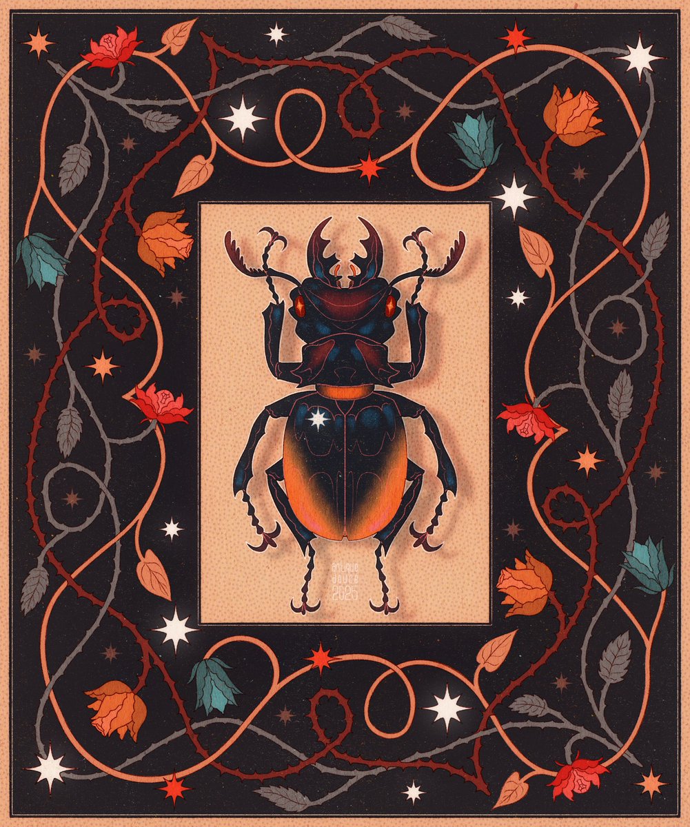 the big world of a small creature 🍀