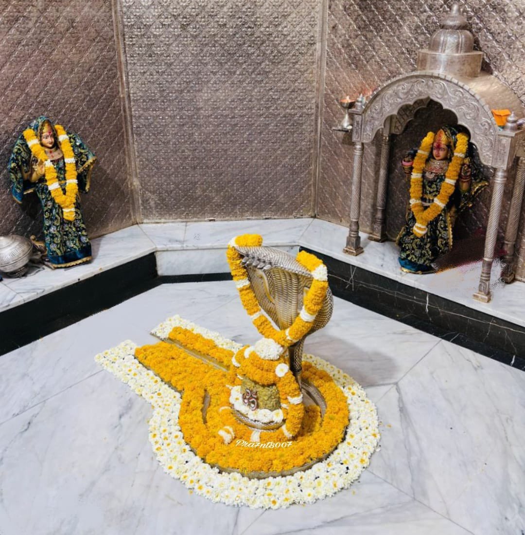 श्री नागेश्वर ज्योतिर्लिंग का आज का संध्या श्रृंगार दर्शन 19.02.2025