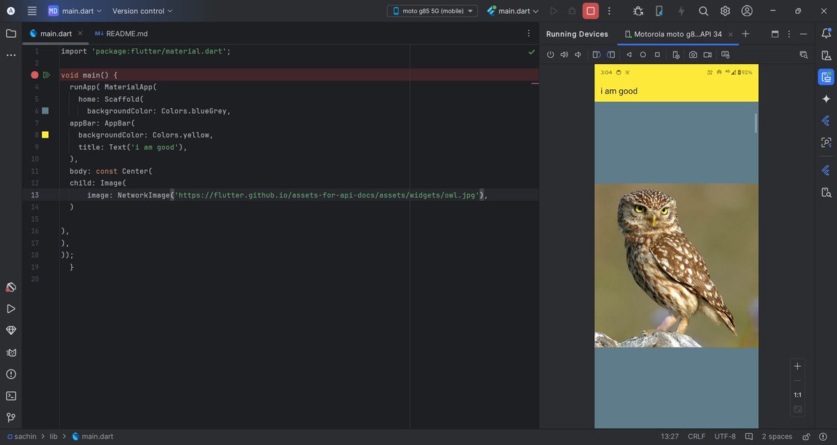 SchinVerm1's tweet image. Day 12 ✅ what I learned today 
. MaterialApp 
. Widget and the concept of widget tree structure 
. MaterialApp 
. AppBar 
. Centre widget 
. Text widget 
. Image widget ( network image and adding assets)
. How to change the app icon
#Appdevelopment #flutter #flutterdeveloper