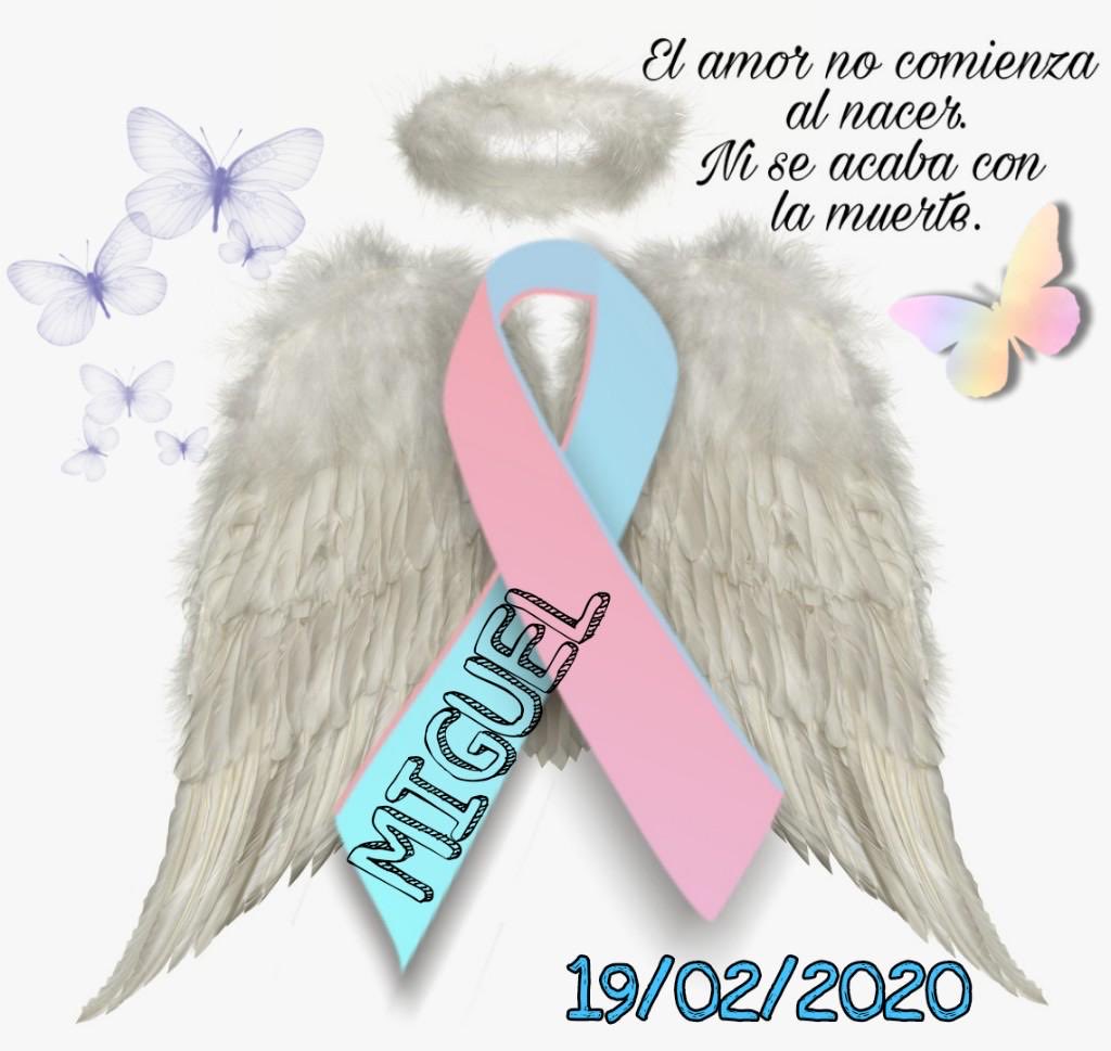 Liliana Londoño Leon (@lilianapllvu) on Twitter photo 