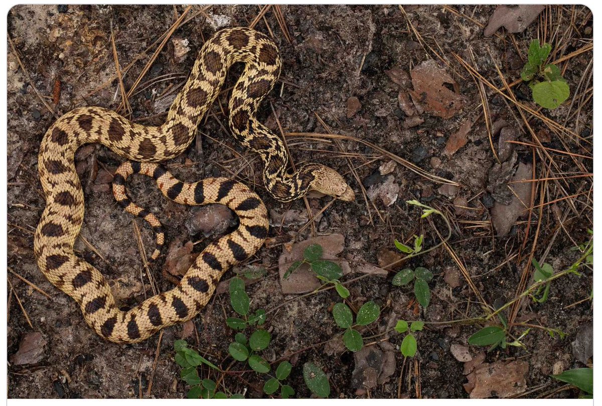 “I would like to remind everyone that we are Americans, just the same as anyone else.  I would also like to say that it's ok to support a political party and still demand answers and accountability when they do something wrong.  The desire to make the government less expensive