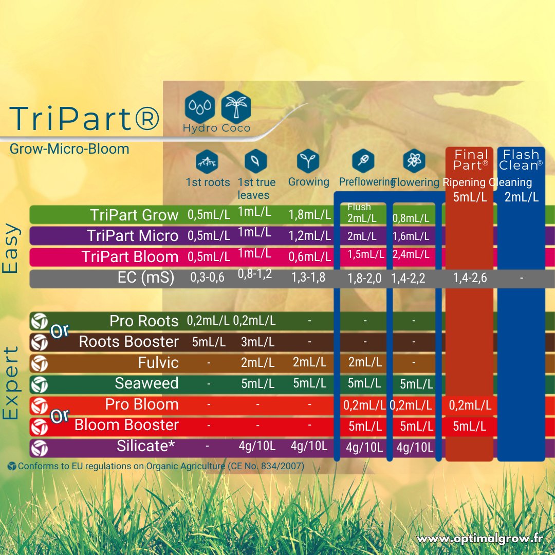 Optimal Grow tweet media