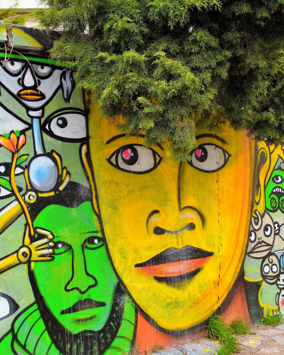 Nature vs. graffiti 🌿🎨
The mix of urban art and natural growth creates something unexpectedly beautiful.. 🍃✨

#UrbanNature #GraffitiTakeover #StreetArtMeetsNature #CityCanvas #ArtBeyondStreets #PublicArtMatters #CreativeVoices #UrbanArt #GraffitiCulture #SupportArtists