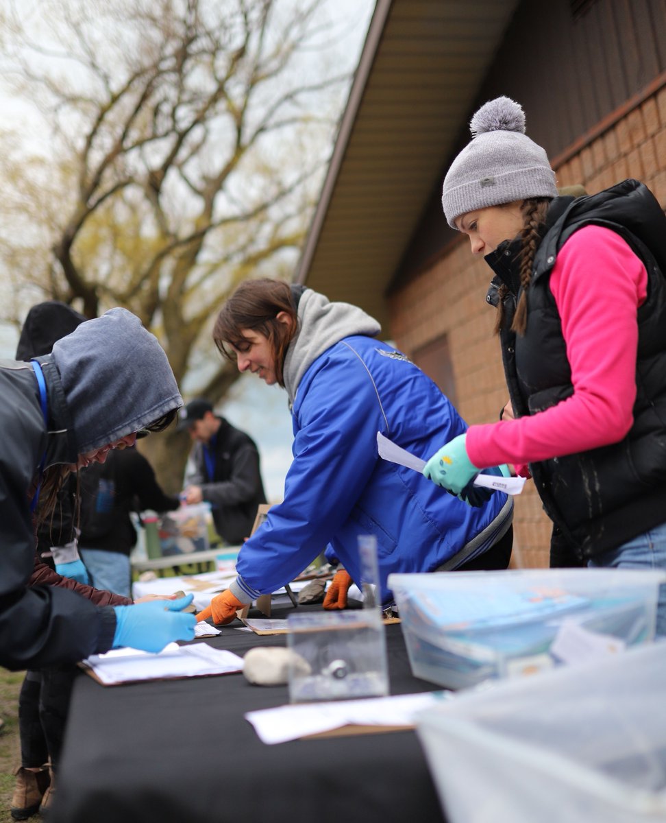 We can't wait to be back on the shoreline with you! The LHCC team is working hard to prepare for an exciting season of conservation programing. Stay tuned!