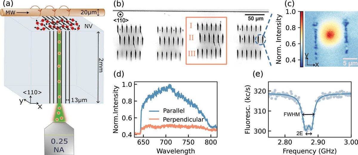 Congrats Sajedeh of University of ULM on this invited article in <a href="/aplphotonics/">APL Photonics</a>! Saj showed vector magnetometry in ion implanted NVs within laser written diamond waveguides in this important breakthrough for sensing.

doi.org/10.1063/5.0231…

<a href="/CNRsocial_/">CNR Consiglio Nazionale delle Ricerche</a> <a href="/CNR_IFN/">CNR - IFN</a> <a href="/cardiffuni/">Cardiff University</a>