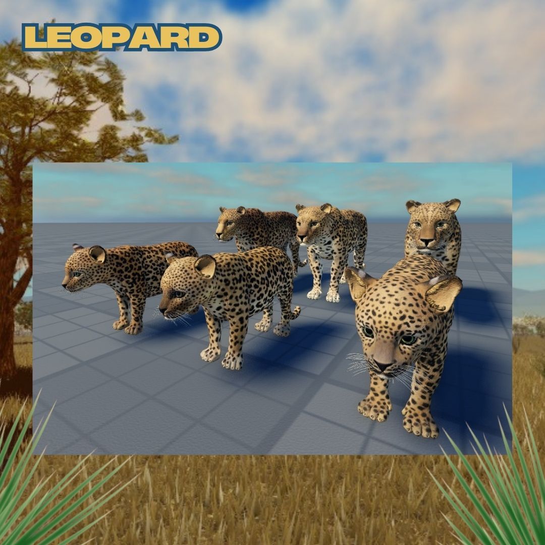 NOYO_Production's tweet image. 🌟 Preview: New Leopard Skins! 🐆✨
The Leopard is coming to Savannah Life on Friday, February 21, and it’s bringing some incredible new skins with it! 🔥🐆
#SavannahLife #Roblox #NOYOProductions #WildlifeGaming #NewSkins #RobloxAnimals #GamingUpdate