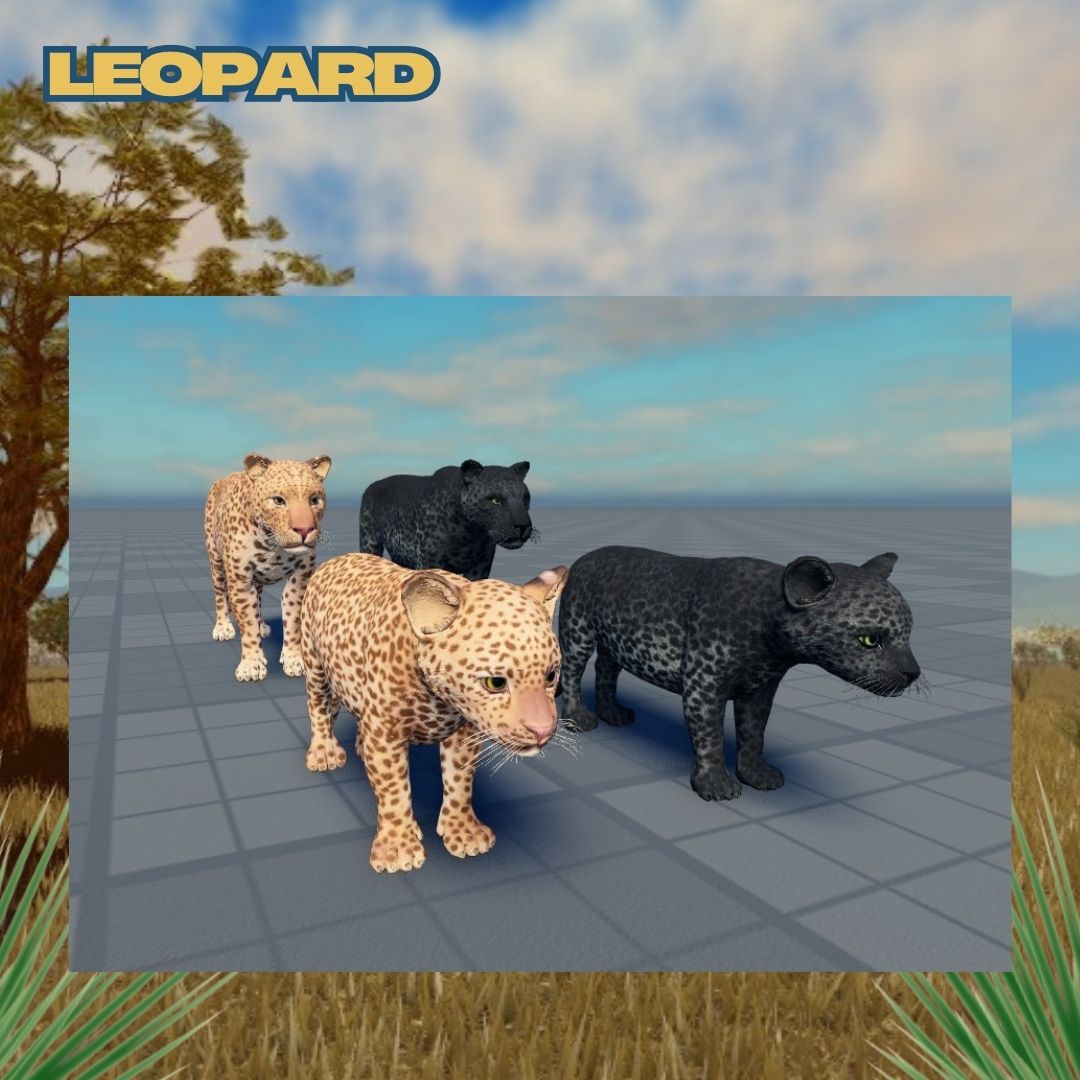 NOYO_Production's tweet image. 🌟 Preview: New Leopard Skins! 🐆✨
The Leopard is coming to Savannah Life on Friday, February 21, and it’s bringing some incredible new skins with it! 🔥🐆
#SavannahLife #Roblox #NOYOProductions #WildlifeGaming #NewSkins #RobloxAnimals #GamingUpdate