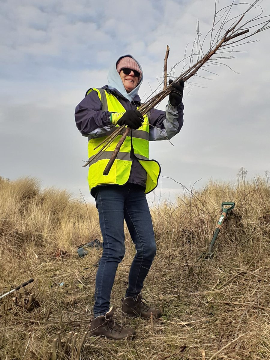 In spite of the biting cold, the team wrapped up warm to continue work on the dunes, to coppice invasive scrub elm, and clearing sandy basking patches for reptiles and butterflies. We were spoiled with a hot cuppa which went down well, and much appreciated on such a cold day!