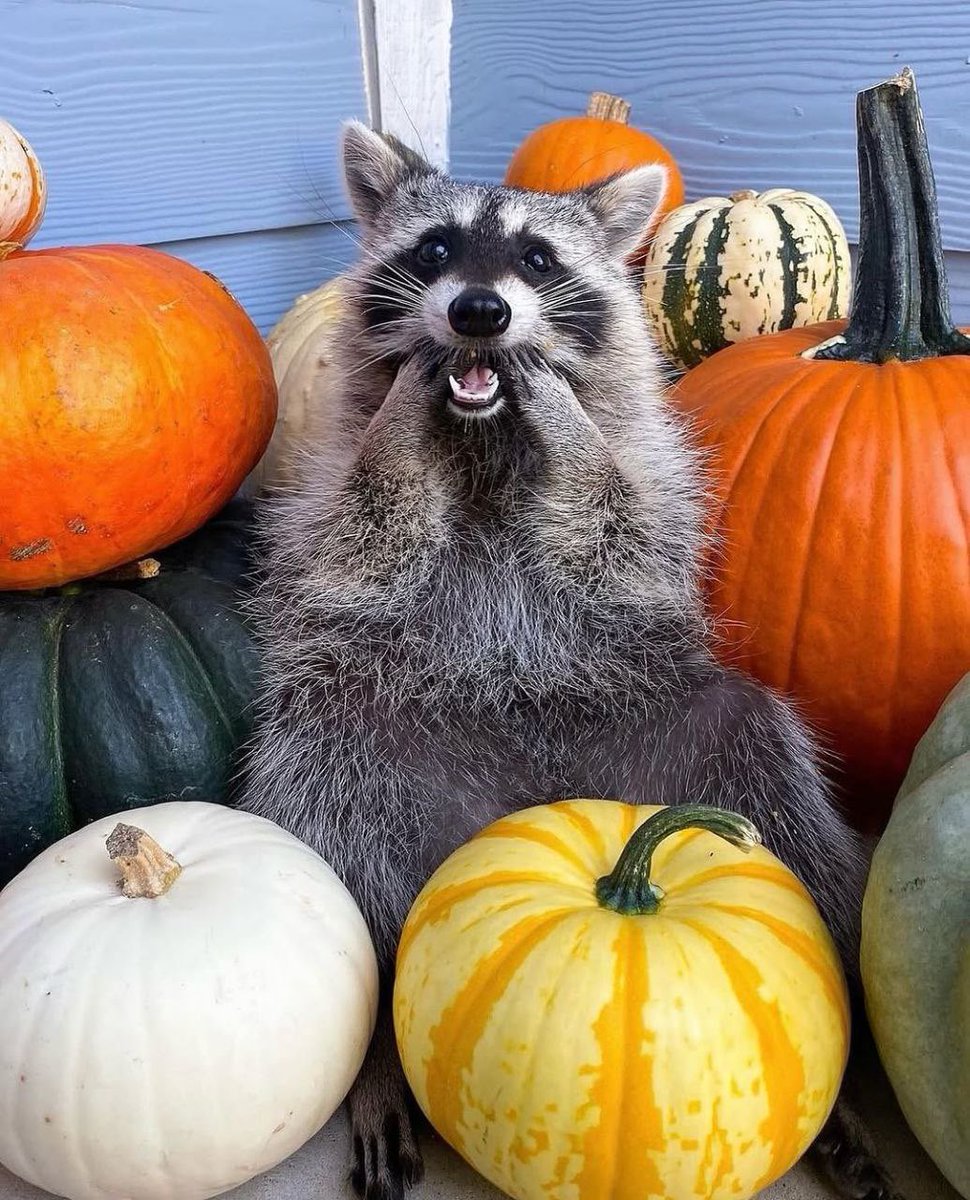 내일의 내일이 빵준온이라니……😳