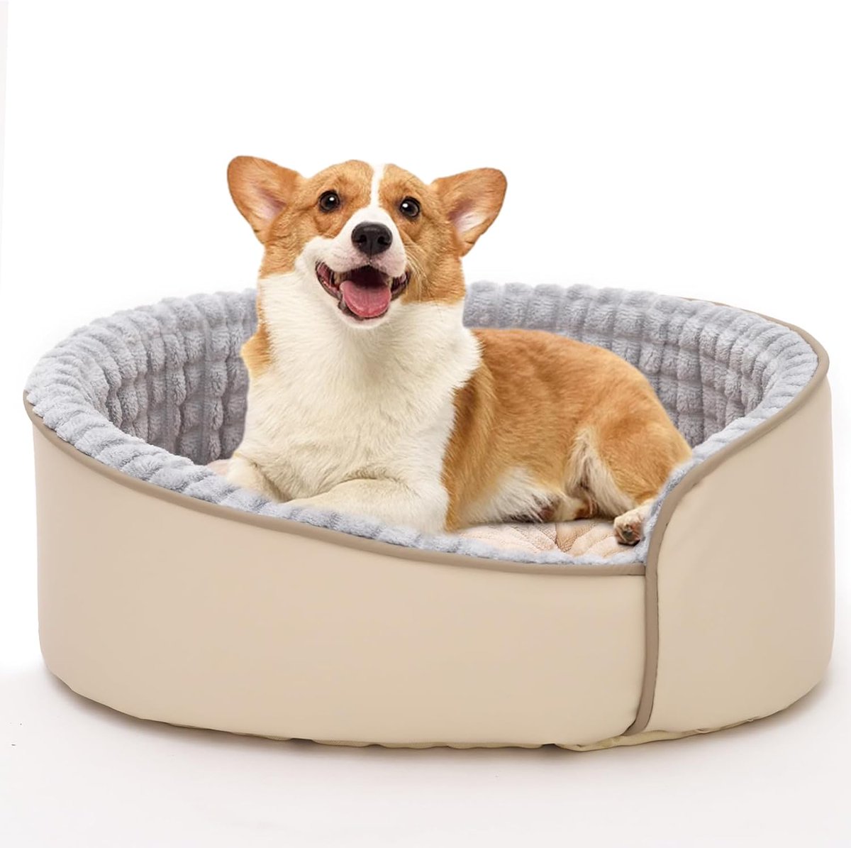 JoltJoydeals's tweet photo. Small Dogs  Bed for $14.99, Reg-$29.99

Use promo code 50GVEMM4

https://t.co/p5eU1I7Q0O

#JJDeals #Ad #Amazon https://t.co/TIri9BAs5y