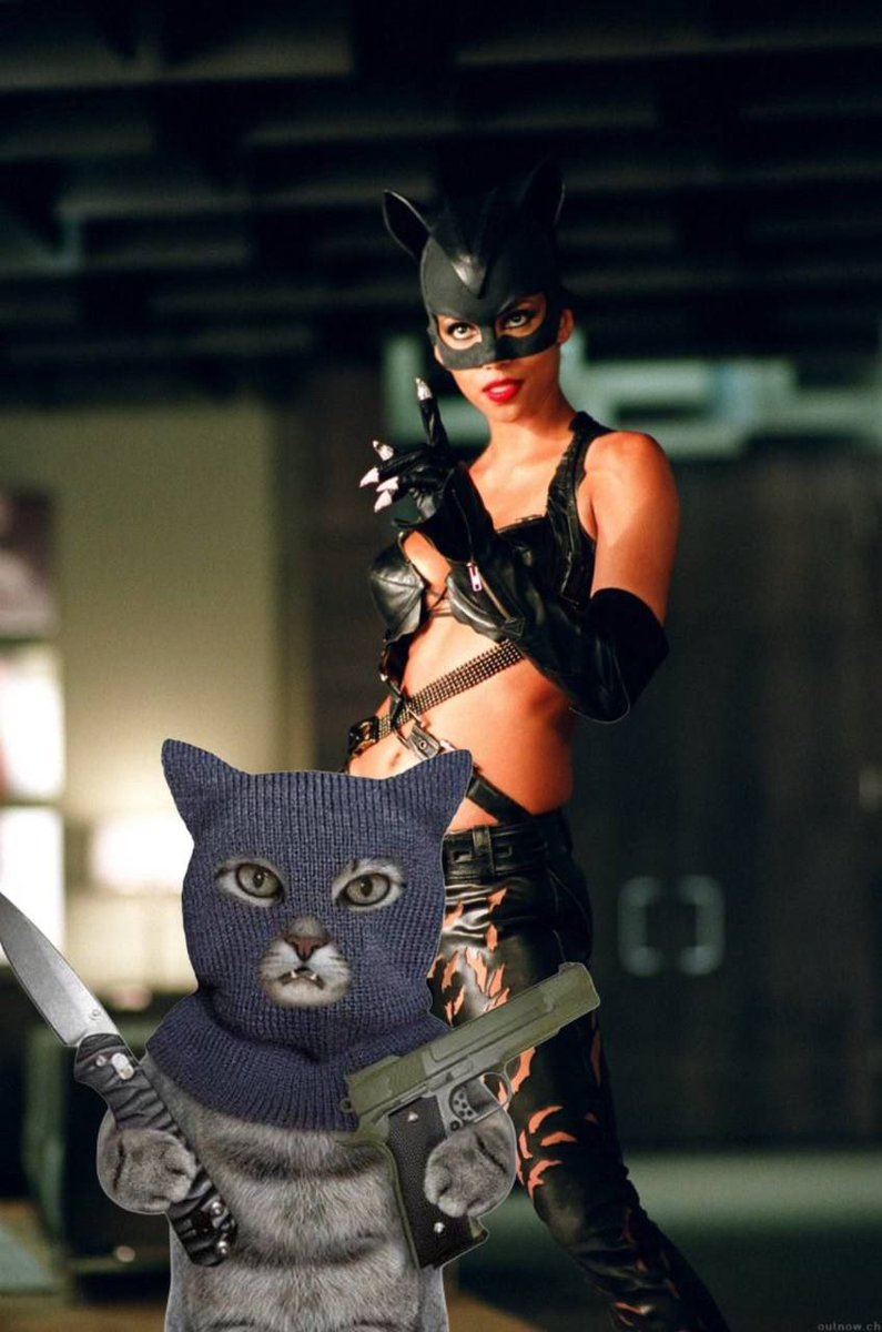 Crime cat has sex appeal 

$rica
