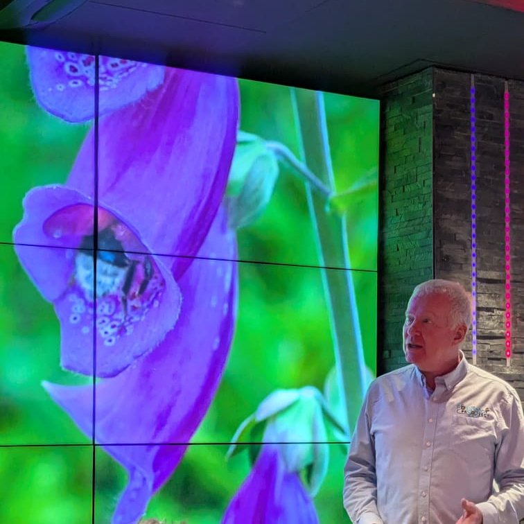 The Pollinator Project 🐝 🦋 🌱🌸 tweet media