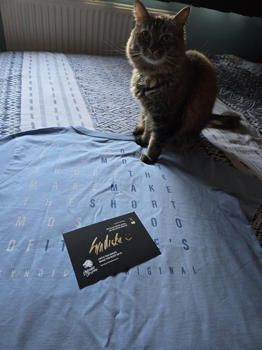 Reece 'Taii' Sowter tweet media