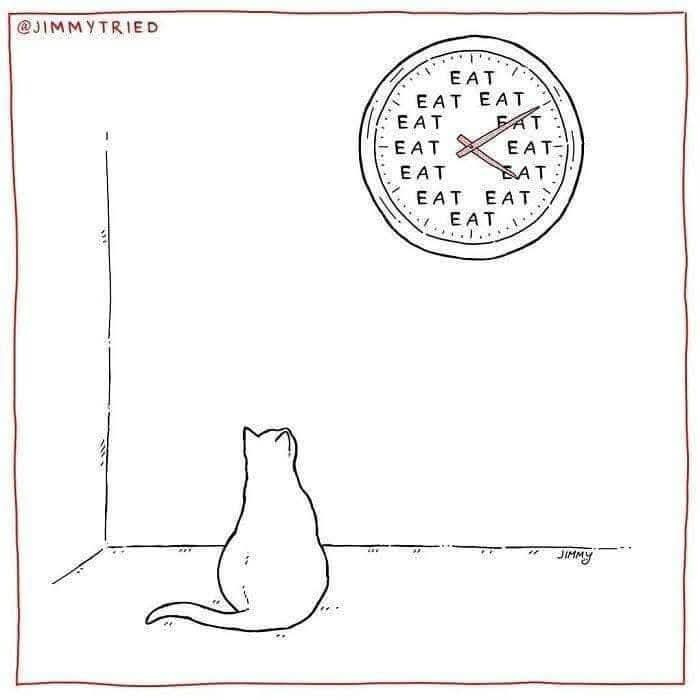 Some of our cats act the way that Jimmy Tried drew this one. Others? They act as if they couldn't care less that there's food for them. Which one is your cat?