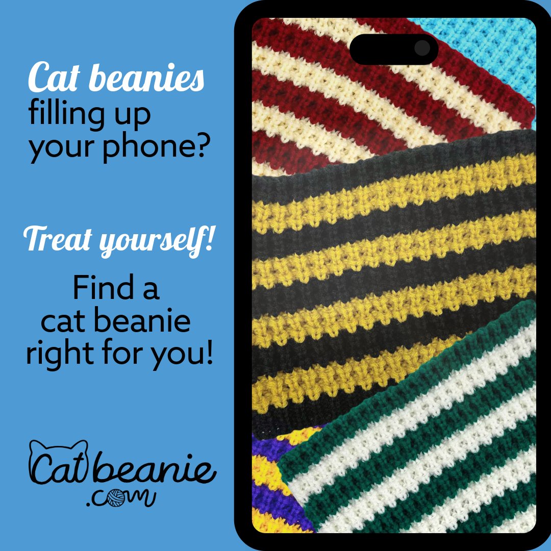 catbeaniedotcom tweet media