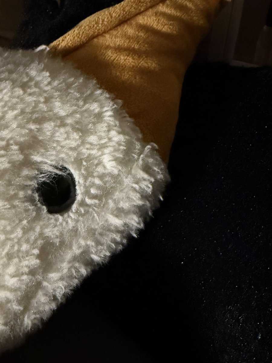 자기 전에 책 읽으면서 의외로 필요한 것