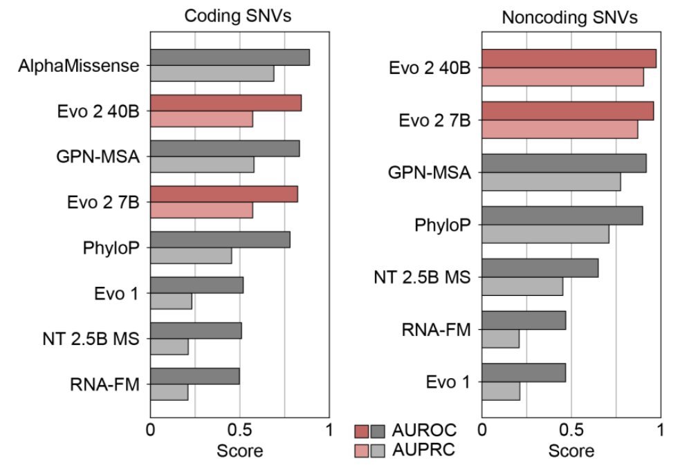 Patrick Collison (@patrickc) on Twitter photo New from <a href="/arcinstitute/">Arc Institute</a>: Evo 2, the largest (by training compute) biology ML model ever, and one of the largest-ever open source ML models in any category. Evo 2 is a foundation model trained on 9T DNA base pairs that learns a lot of fundamental details about life.
A few examples New from <a href="/arcinstitute/">Arc Institute</a>: Evo 2, the largest (by training compute) biology ML model ever, and one of the largest-ever open source ML models in any category. Evo 2 is a foundation model trained on 9T DNA base pairs that learns a lot of fundamental details about life.
A few examples