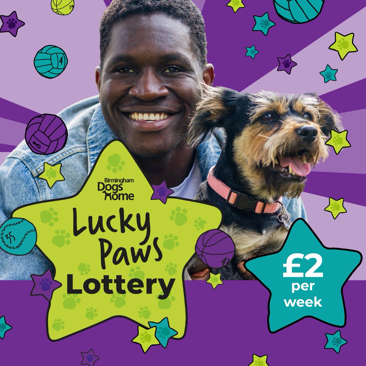 Play our Lucky Paws lottery and help local homeless dogs, with the chance to win up to £10,000 each week! 
*For residents of Great Britain, aged 18+ – begambleaware.org