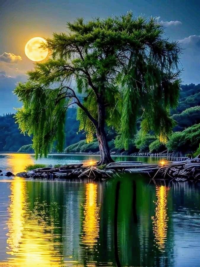godmanhome's tweet image. Night is time to rest, rejuvenate and dream. May stars light your path as you close your eyes to drift into the land of dreams.
Good night.