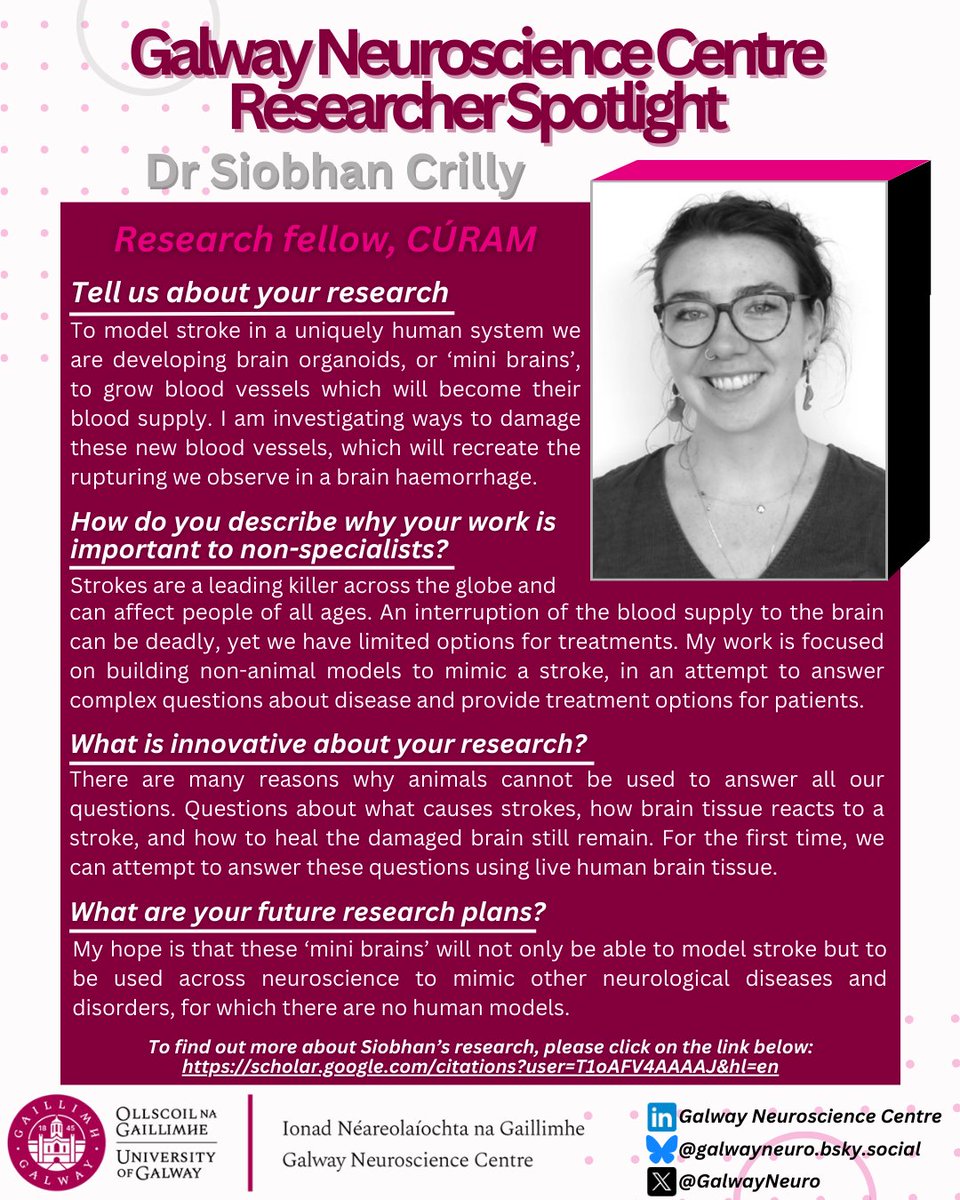 Spotlight on a Researcher! 🧠

Siobhan Crilly, who is studying brain organoids as models for stroke is as a Medtrain+ Marie Curie Postdoctoral Fellow working in the lab of Dr Mihai Lomora.