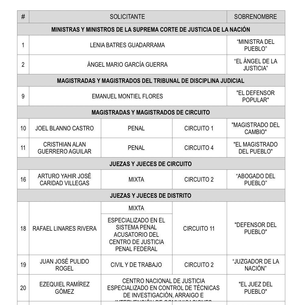 🗳️📌 Si fueras candidato en la elección judicial, ¿qué apodo te pondrías? 🤔