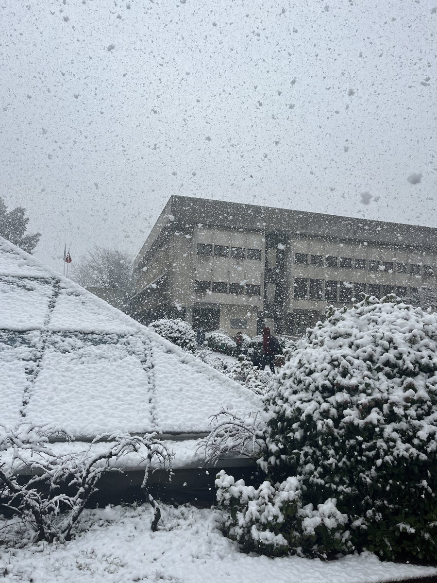 Onr_Kls's tweet image. ❄️