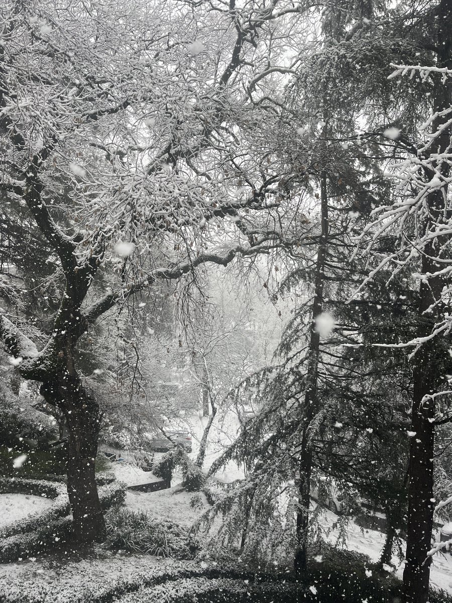 Onr_Kls's tweet image. ❄️
