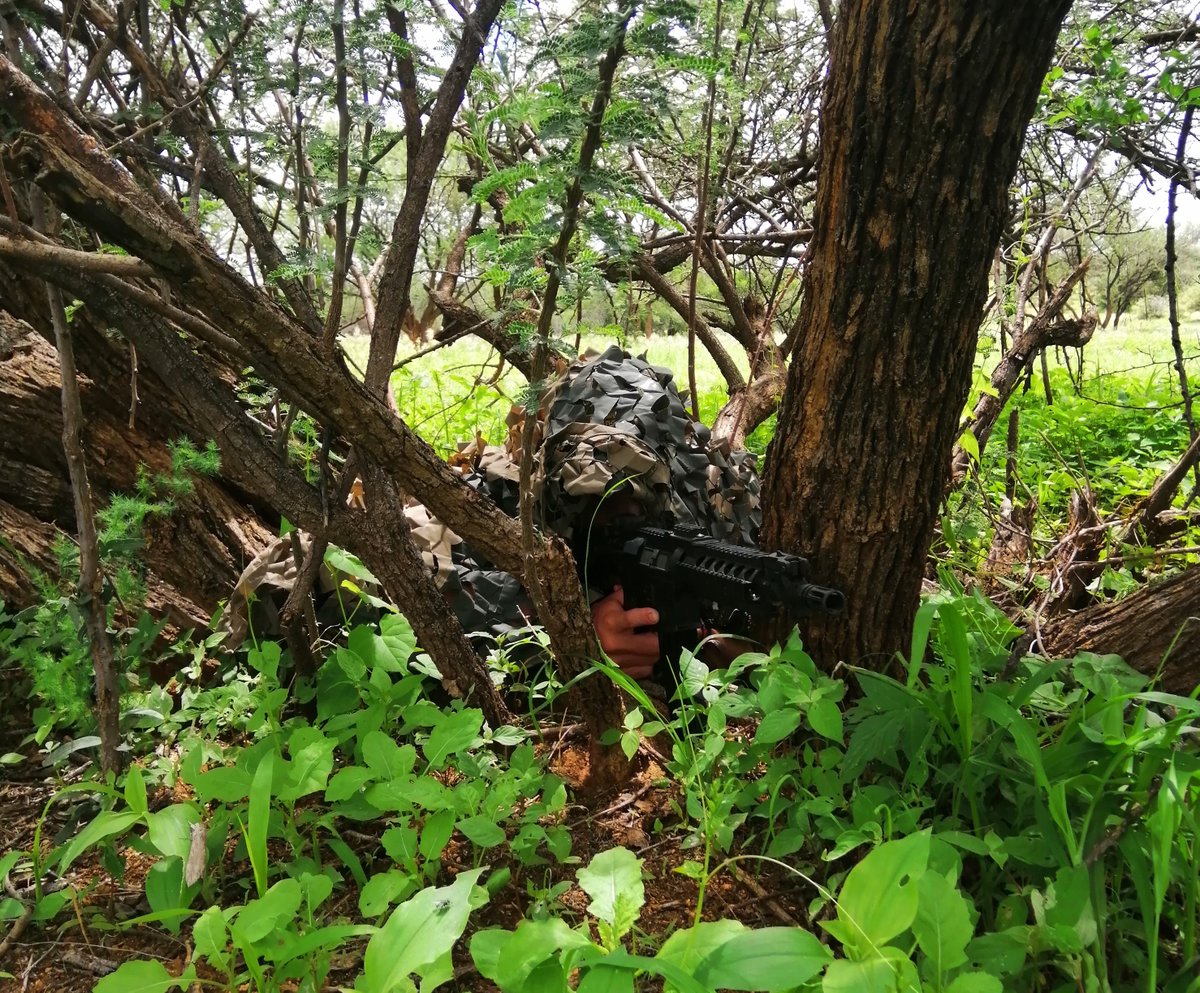 NamWildProt's tweet image. Our February 2025 anti-poaching ranger training course was another thrilling adventure.
The next course is scheduled for 14-23 April 2025.
Contact:
📧 wild@namwildlifeprotect.com
🔎 namwildlifeprotect.com