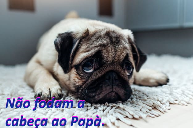 Por favor serà a ultima vez que abordo o assunto, a proxima foto ou alusãodo TRAMPA e seu jeco Musk-eteiro, aqui vai ser delectado.