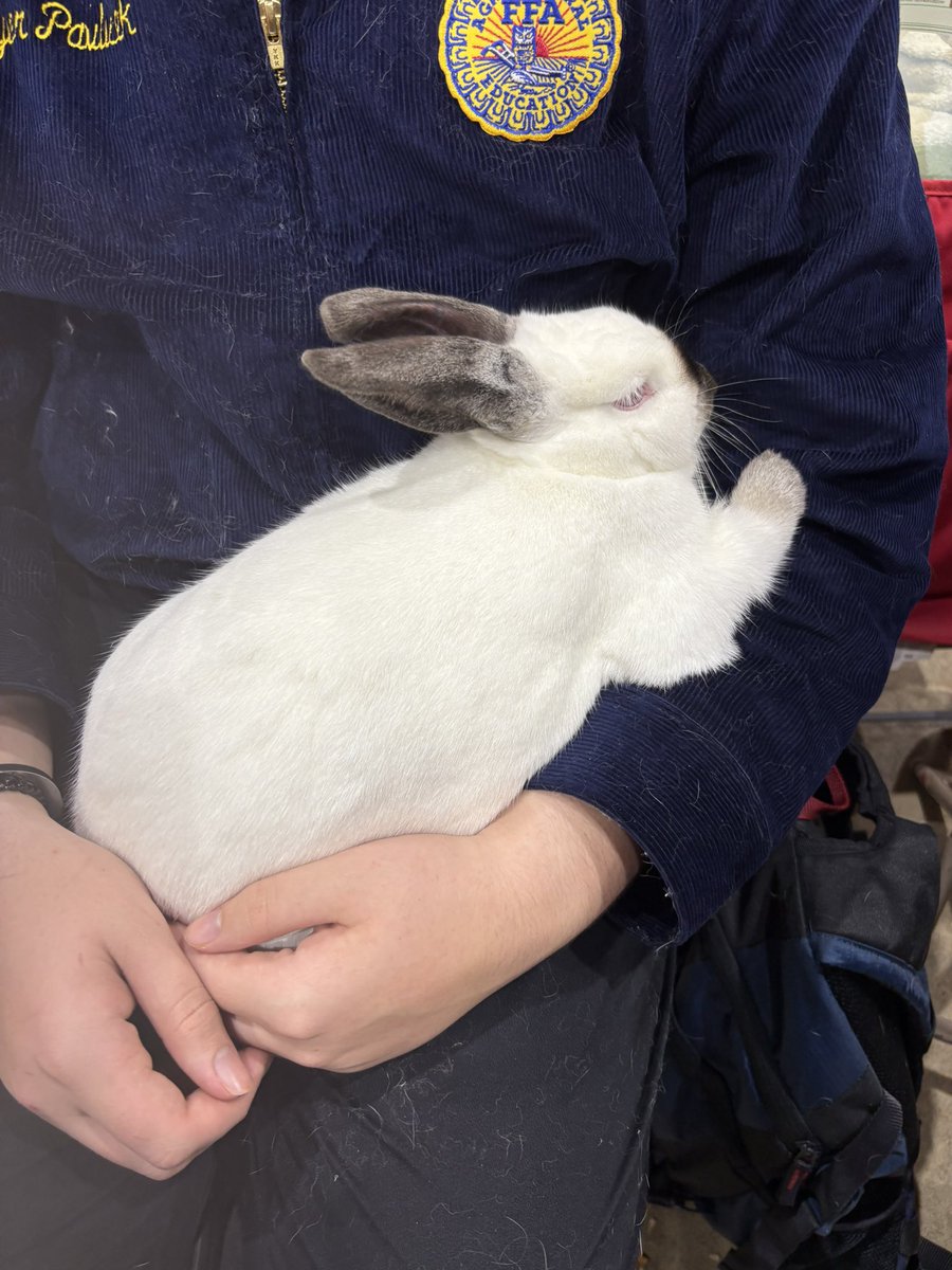 Anna Braden tweet media