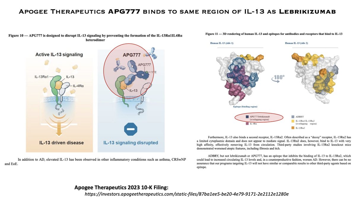 HOThomasWPhelps's tweet photo. Research: Why is $APGE putting APG777 in #asthma when IL-13 mAbs tralokinumab, lebrikizumab failed?
- APG777 binding of IL-13 overlaps w/ lebrikizumab, why would outcome be different?
- IL-13 has multiple roles including anti-inflammatory + repairative function in lungs. Released by #Tregs after damage, so fully blocking IL-13 likely reason why biologics continue to fail in asthma indication
https://t.co/rZ22EPI47o
https://t.co/x64U2L77M2
