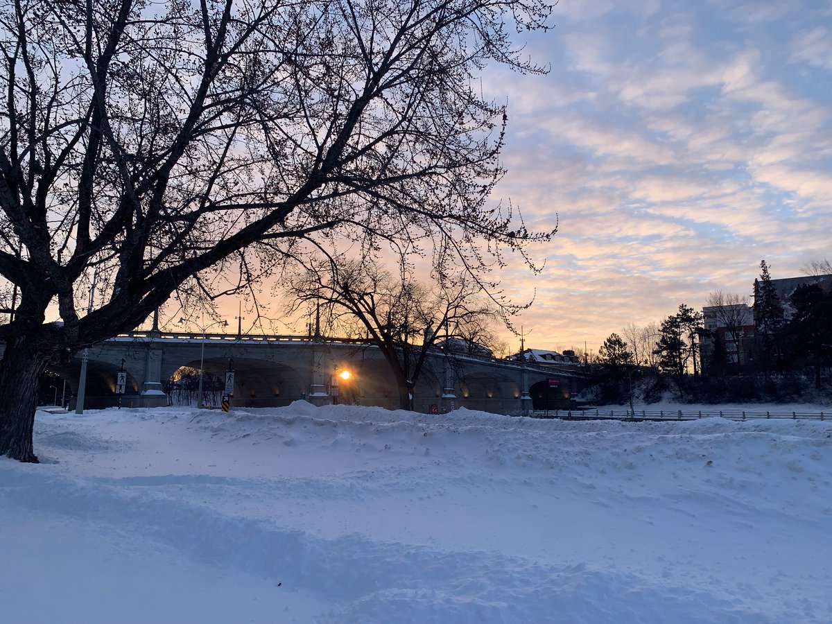 Siobhan Kirkland tweet media