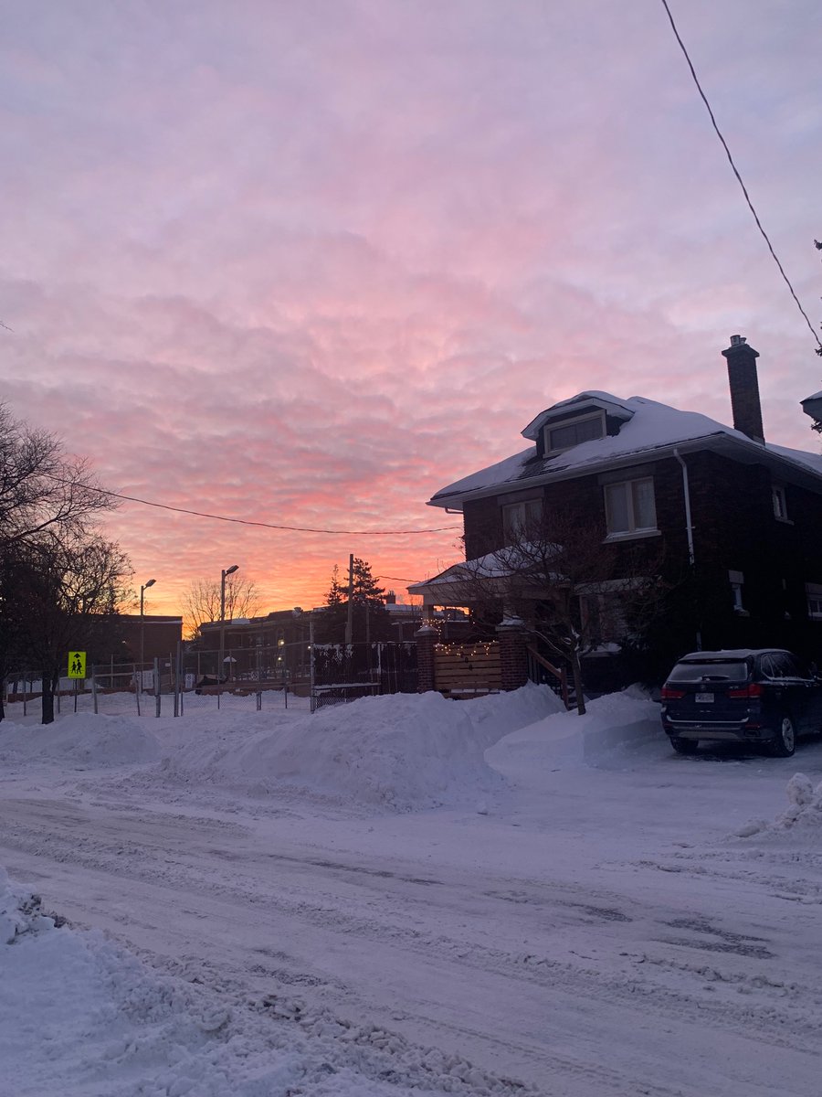 Siobhan Kirkland tweet media