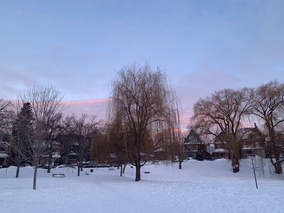 Siobhan Kirkland tweet media