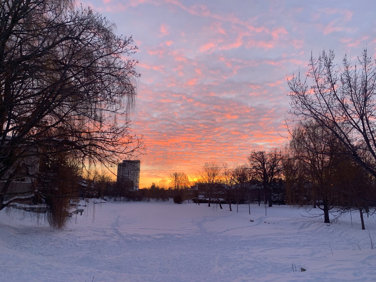 Siobhan Kirkland tweet media