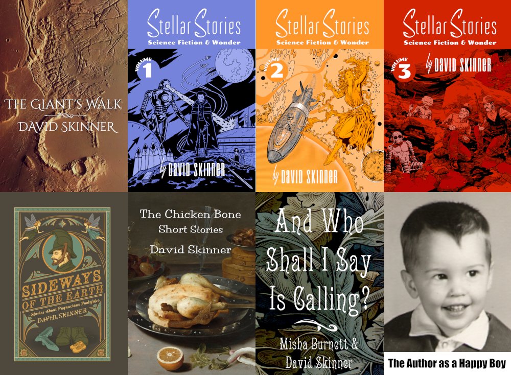 SpawnOfMars's tweet image. I have been writing steadily, though not prolifically, since I was twelve years old. My works tend to be weird, fantastical, and science-fictional. "Wonder stories," I like to call them.

Synopses and links for purchase are listed at:

davidskinner.biz/myworks.php