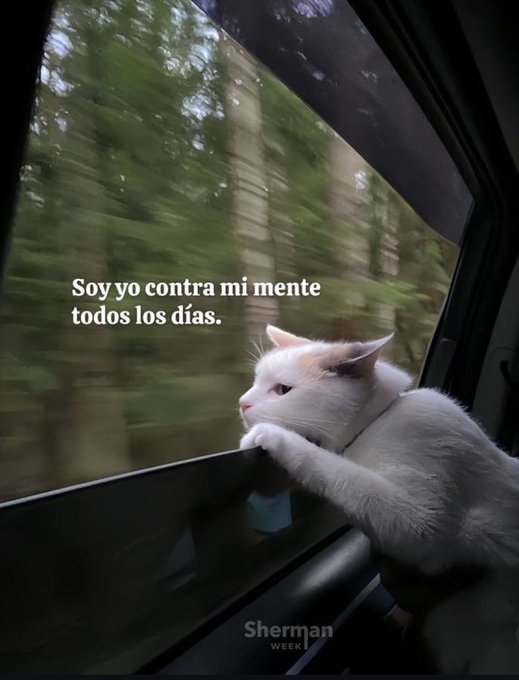 Roman Vera (@romn5verav1) on Twitter photo 