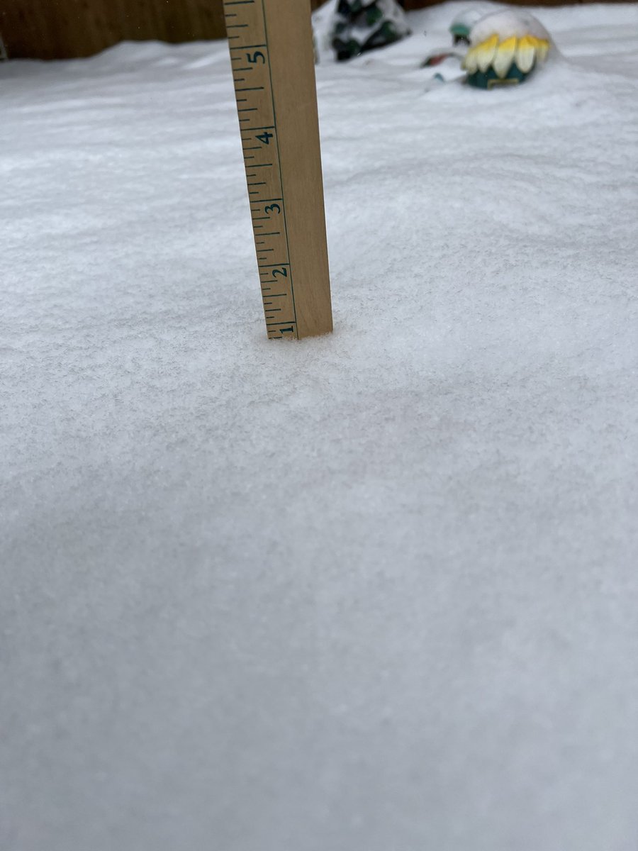 AnnHigginbotham's tweet photo. @NWSFortWorth Currently 3/4” on the concrete but much more on grassy surfaces in southwest Denison courtesy of Lake Texoma.   And yes it is still snowing! 😊❄️ https://t.co/MGLd50XBLD