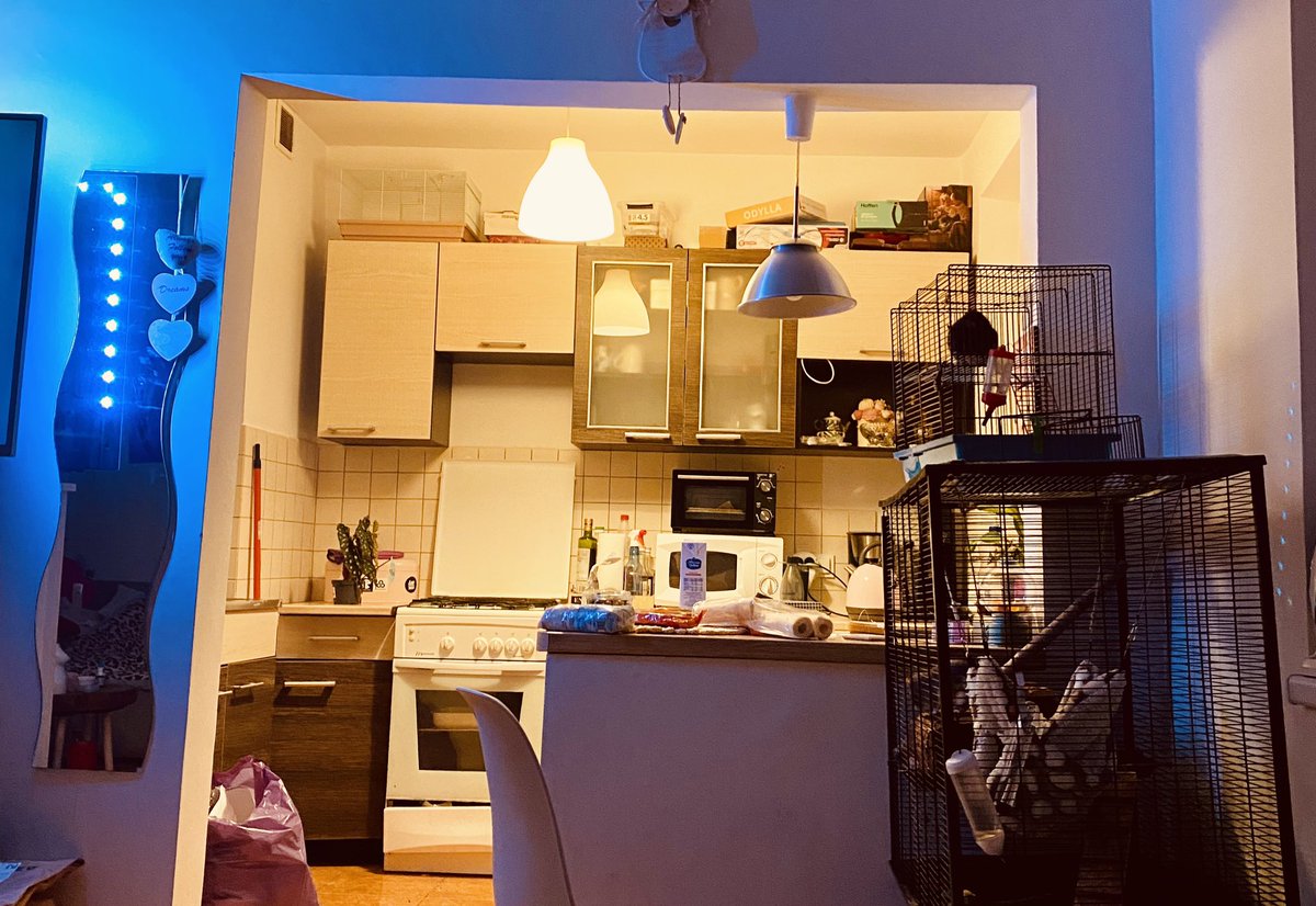 Kuchnia jaka jest każdy widział