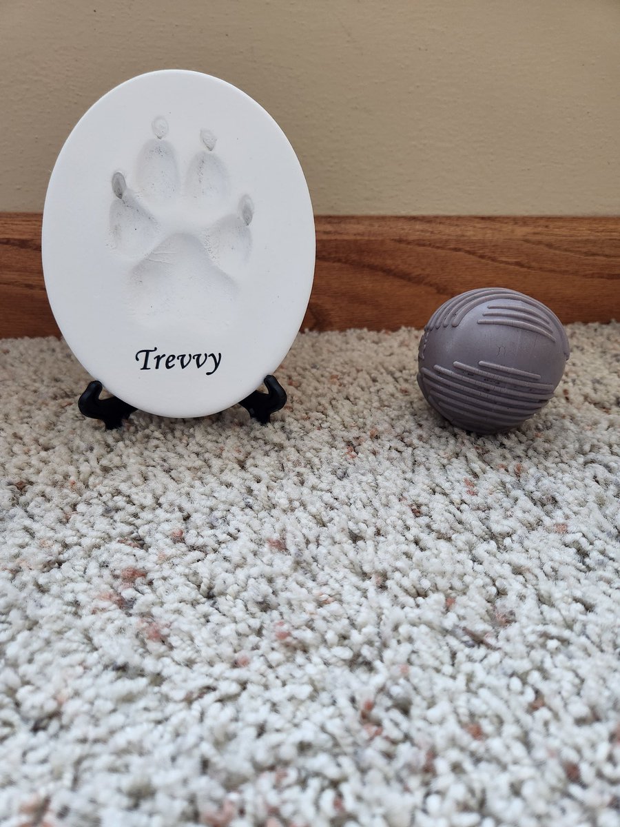 Trevvy (@trevvyalty) on Twitter photo 