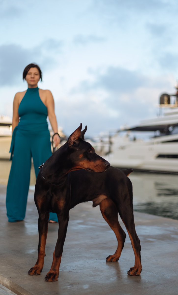 MilaDiamond's tweet photo. In the world of high society, the events you host are more than just celebrations—they are statements of power, prestige, and influence. A meticulously curated luxurious event is a reflection of your status, taste, and ability to create extraordinary experiences. https://t.co/pgoy073fv4