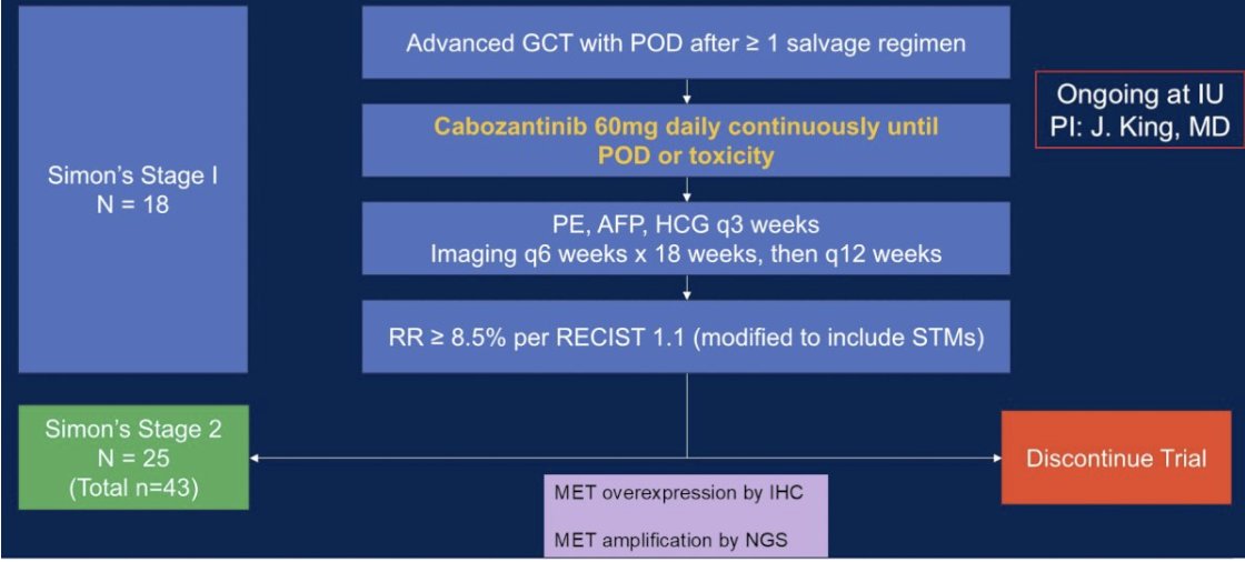UroToday.com (@urotoday) on Twitter photo Landscape of new trials and targets in refractory germ cell tumors. Presentation by <a href="/DrDarrenFeldman/">Dr. Darren Feldman</a> <a href="/MSKCancerCenter/">Memorial Sloan Kettering Cancer Center</a>. Written coverage by <a href="/zklaassen_md/">Zach Klaassen</a> <a href="/GACancerCenter/">Georgia Cancer Center</a> > bit.ly/41mXoSA #GU25 <a href="/ASCO/">ASCO</a> Landscape of new trials and targets in refractory germ cell tumors. Presentation by <a href="/DrDarrenFeldman/">Dr. Darren Feldman</a> <a href="/MSKCancerCenter/">Memorial Sloan Kettering Cancer Center</a>. Written coverage by <a href="/zklaassen_md/">Zach Klaassen</a> <a href="/GACancerCenter/">Georgia Cancer Center</a> > bit.ly/41mXoSA #GU25 <a href="/ASCO/">ASCO</a>
