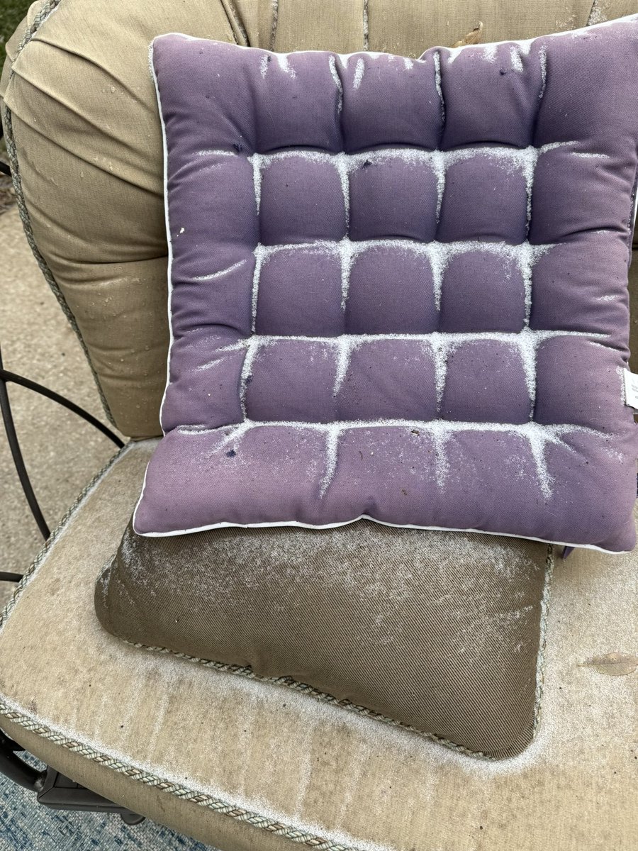 Let’s see the Austin snow photos!