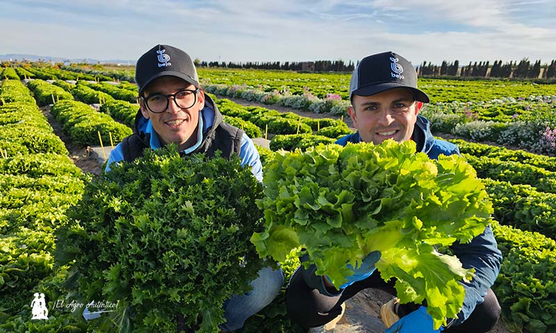 jaarcossanchez's tweet photo. 🆕Bejo cubre el mercado de #escarola rizada y lisa
📝https://t.co/qo8KSsn12F
📌Novedades también en Radicchio Rosso, #espinacas, #lechuga iceberg y estreno en Little Gem
#exploringnatureneverstops #semillasbejo