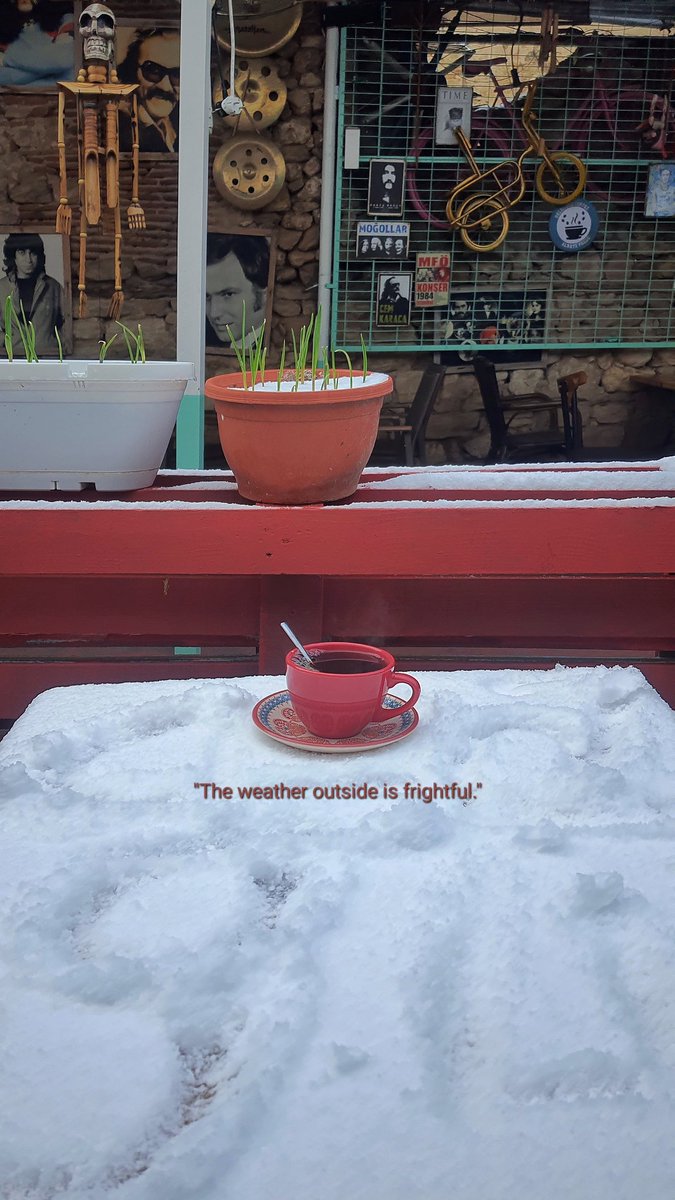 Nursel Tahiroğlu (@nurselthrgl) on Twitter photo 