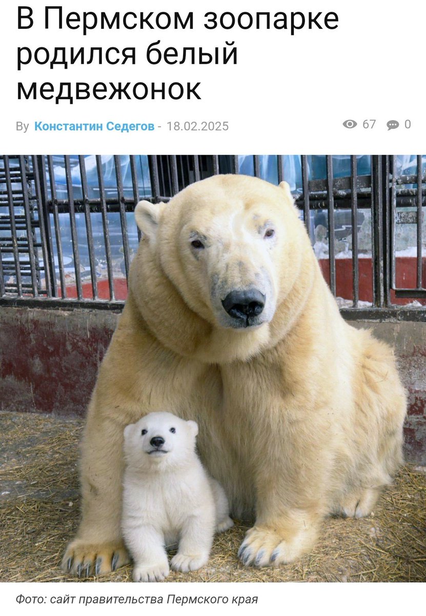 evildogx_x's tweet image. я ща умру